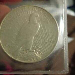 Silver Bird Coin